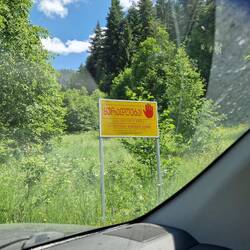 Hier auch nicht