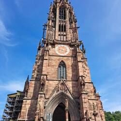 Freiburger Münster