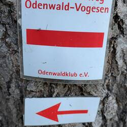 ... vielleicht besser diesem? Oder sind beide richtig?