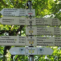 Jedenfalls geht's hier auf dem Schwarzwald Nordrandweg weiter