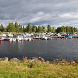 Bräcke