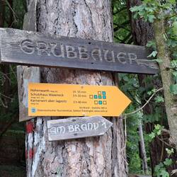 Und dann wieder bergauf nach Hohenwarth