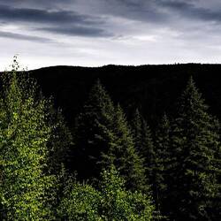Richtig Schwarzwald (Chat AI)