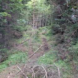 This was the moment we were lost lol. Should've known this wasn't an offical route.