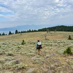 In der Ferne haben wir zum ersten Mal einen CDT-Hiker gesehen, der im Norden gestartet ist.