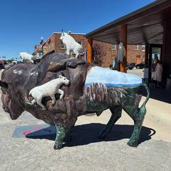 Painted Bison in Custer