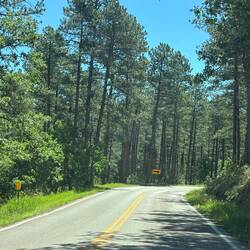 Iron Mountain Road