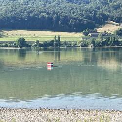Morning rower