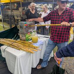 Sugar Cane juice til marked i PD