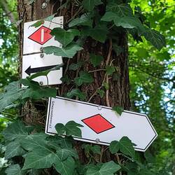 Hier trennen sich West und Mittelweg zum ersten Mal
