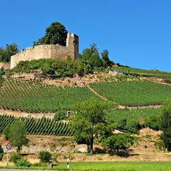 Burgruine Nähe Kenzingen