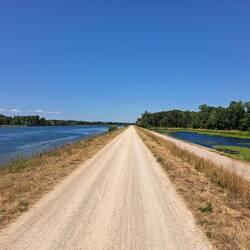 Rheinradweg bei Sasbach