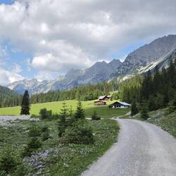 Viel Forstweg - bis ans Ende der Bergkette und weiter