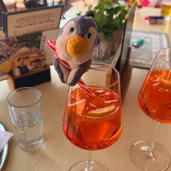Belohnung zum Schluss - Aperolpingu 🍷