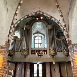 Die Schwan- Orgel von 1791