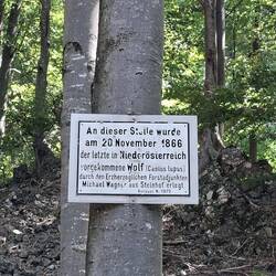 😒...vielleicht gibt es heute ja wieder welche...