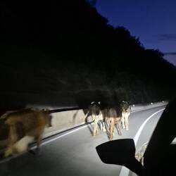 Fahrt nach Podgorica