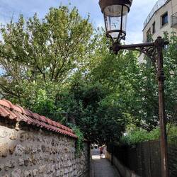 Very pretty green laneways