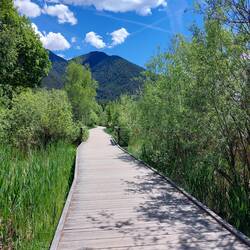Boardwalk