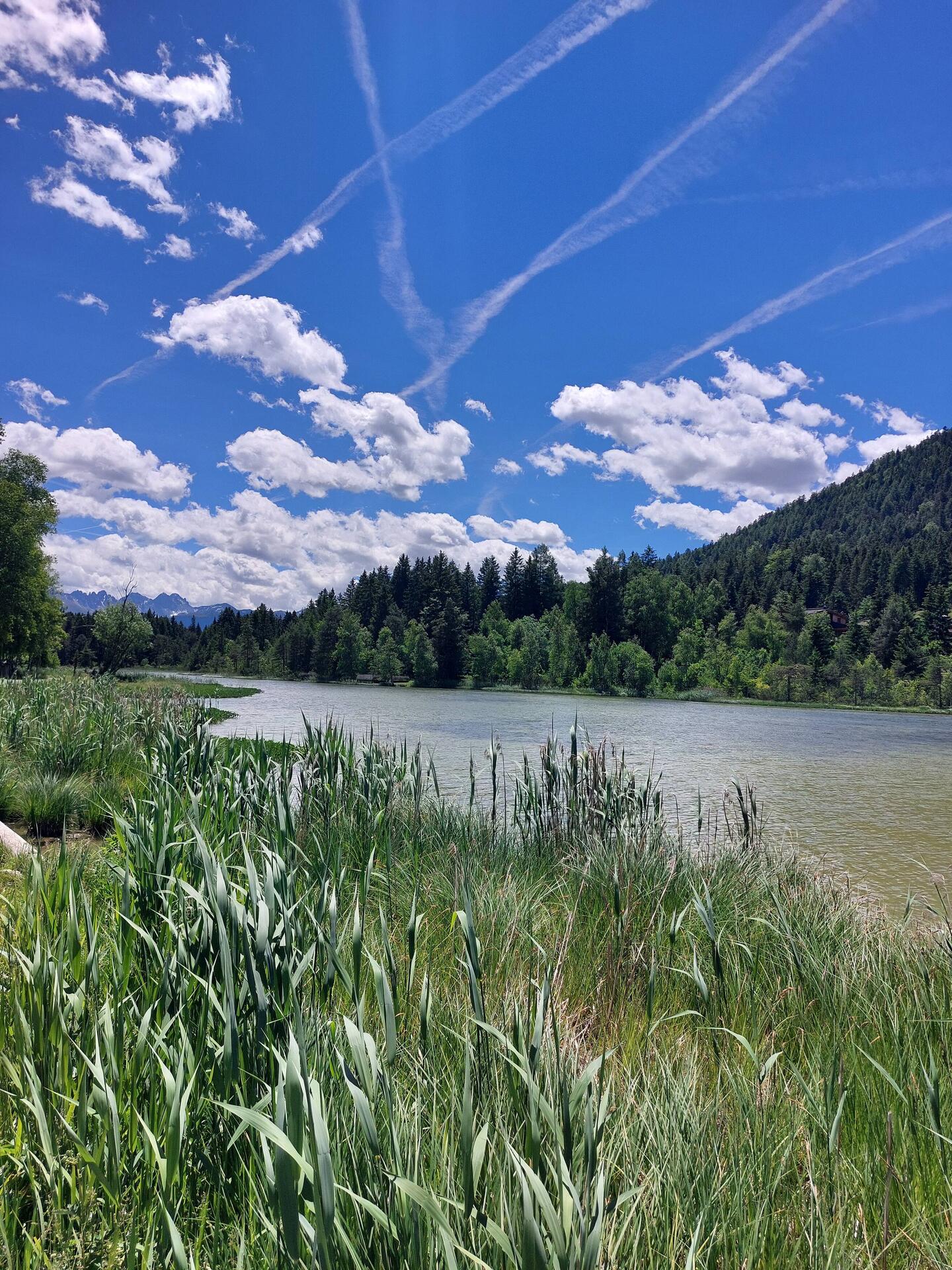 Wildsee