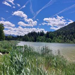 Wildsee