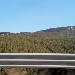 ...Wälder🌲🌲🌲...