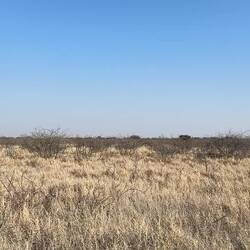 Kaffeepause