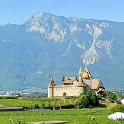 Schloss Aigle