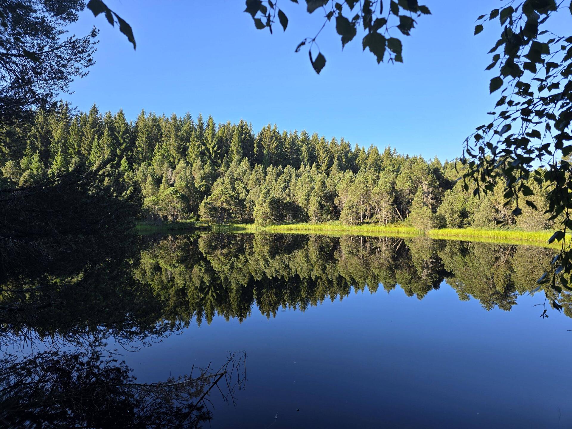 Blindsee