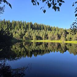Blindsee