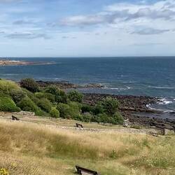 Crail ♥️