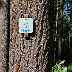 Unser Wegbegleiter Zeichen Bike x crossing