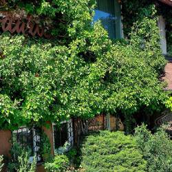Hotel Schwanen, unsere Unterkunft