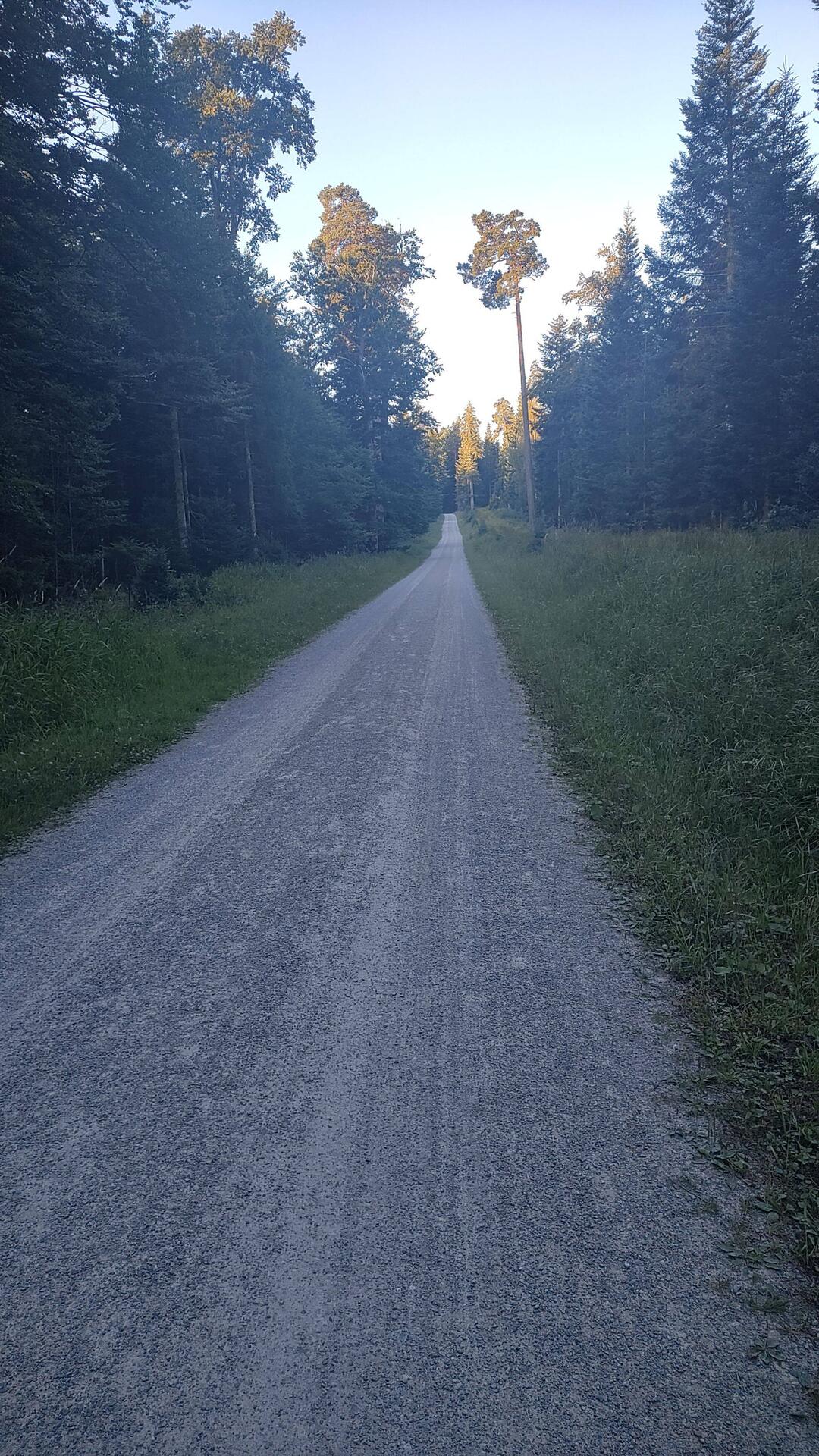 Ich liebe das Wandern am frühen Morgen