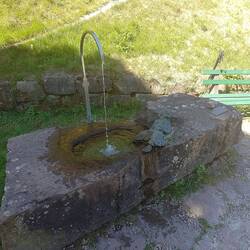 Hexenbrunnen - nicht vergessen Blumen abzulegen