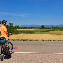 Rheinradweg bei Schwanau