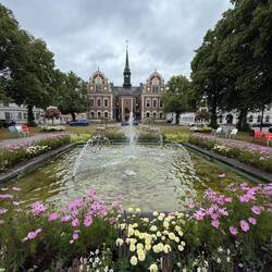 Rathaus im Blumenmeer