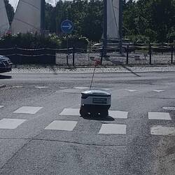 Und wieder so ein fleissiges Helferlein. Weiss ja immer noch nicht, was ich von denen halten soll 😂