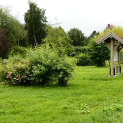 Entering the arboretum