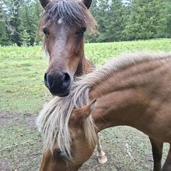 Tiere des Tages🥰
