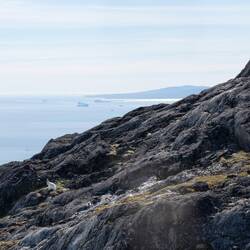 Spot the Arctic Hare (rabbit) and the Arctic Fox.