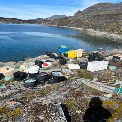Greenlandic fishermen - masters of chaos.