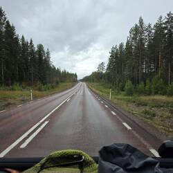 Der Weg ziiiiieeht sich