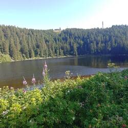 Mummelsee