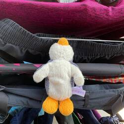 Pingu hat sich den Tag zum chilln und sonnen frei genommen ☀️