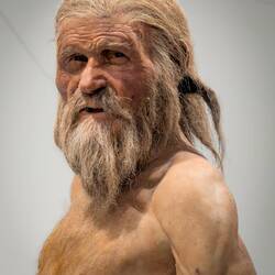 Ötzi 'in the flesh' ... so to speak — South Tyrol Museum of Archaeology — Bolzano, Italy.