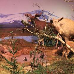 Biotopia Museum