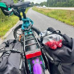 Kleine Ernte zwischendurch. Später auch Brumm- äh: Brombeeren.