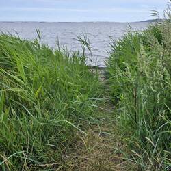 > an die Ostsee
