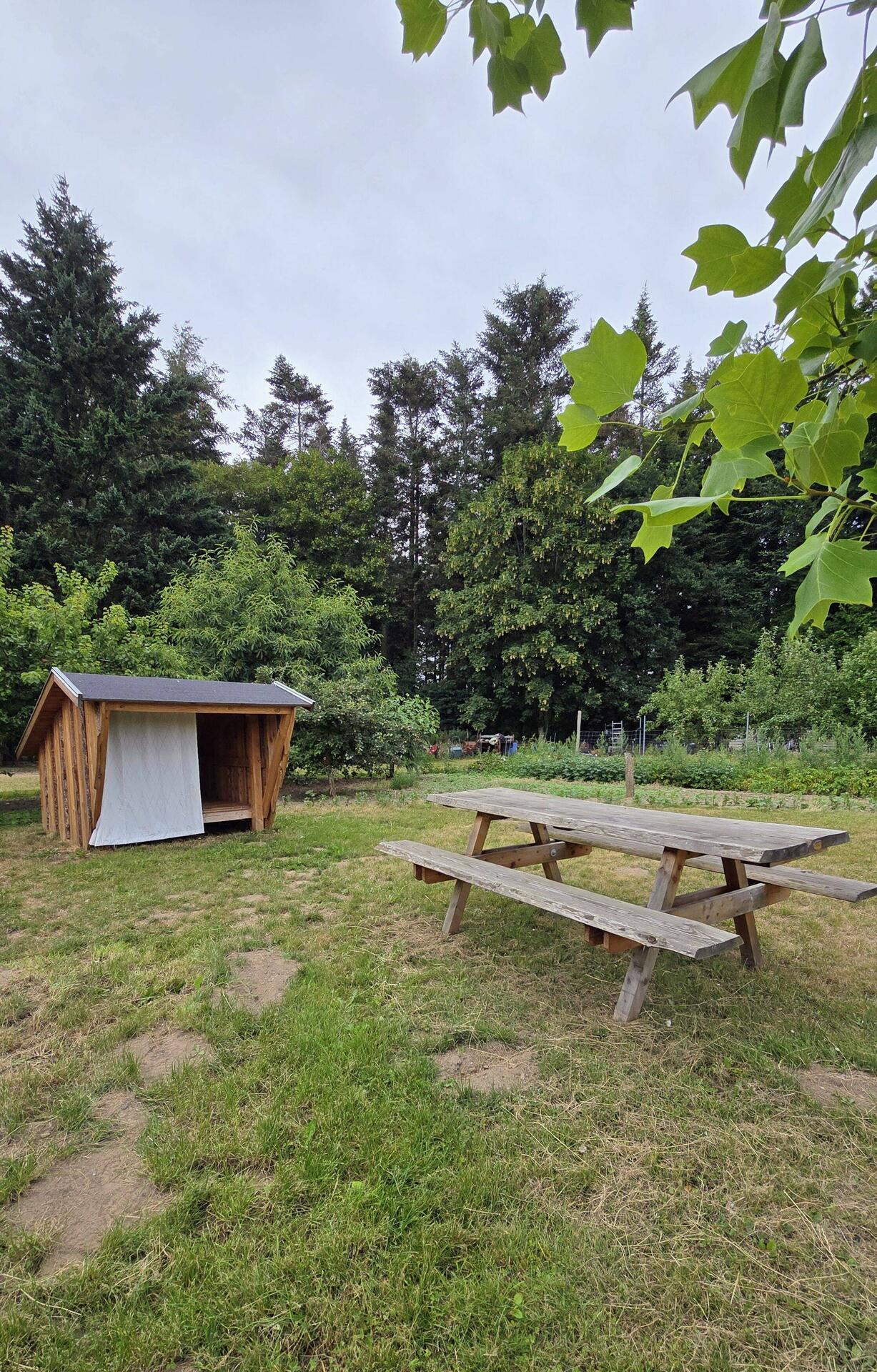Shelter Platz